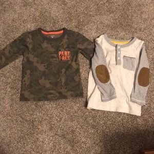 3T TRex and Gray striped sleeve long sleeve